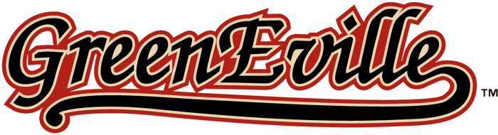 Greeneville Astros 2004-2012 Wordmark Logo iron on transfers for T-shirts